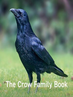 cover image of The Crow Family Book